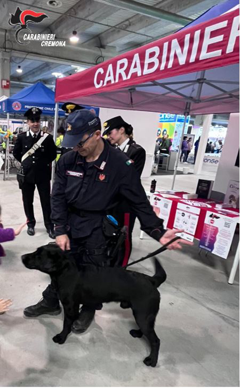 Crema News - Dal territorio - Carabinieri al Petsfestival
