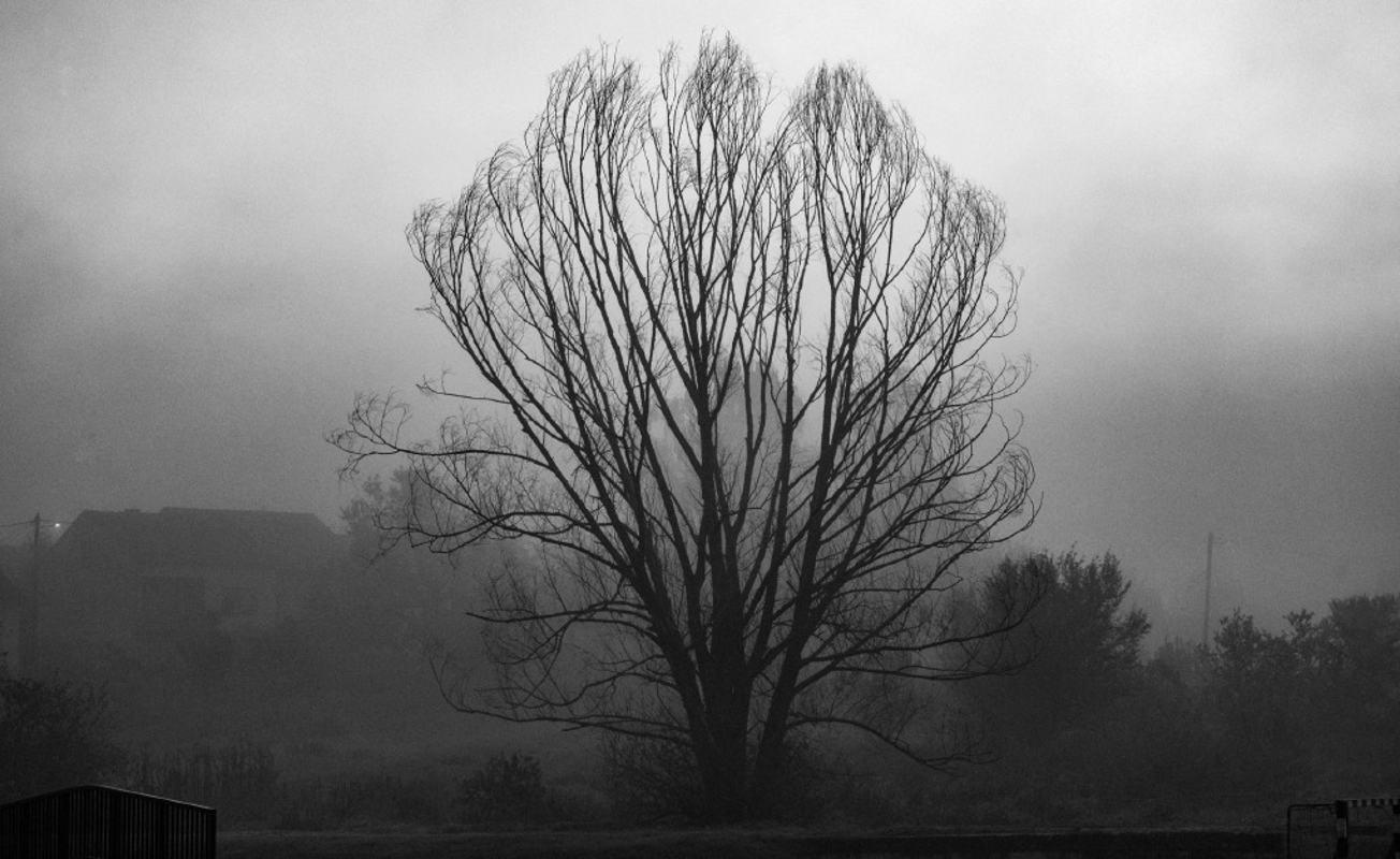 Crema News - Cielo grigio