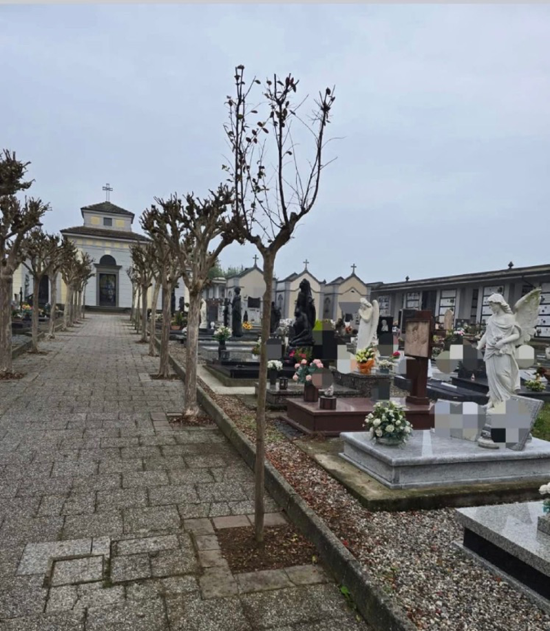 Crema News - Bagnolo - Piante nel cimitero
