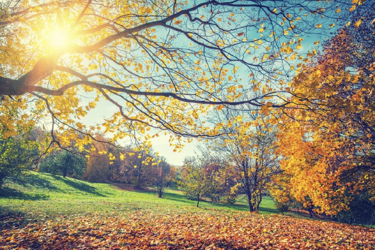 Giornata serena