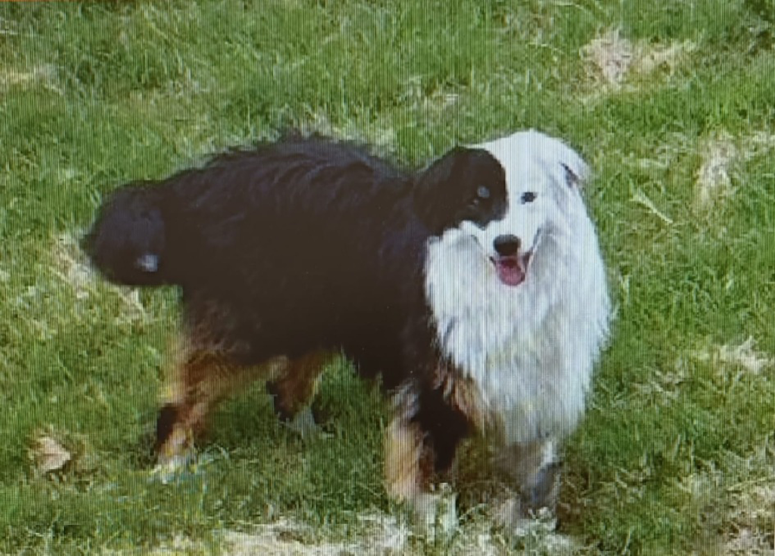 Vailate - Ritrovato Ares