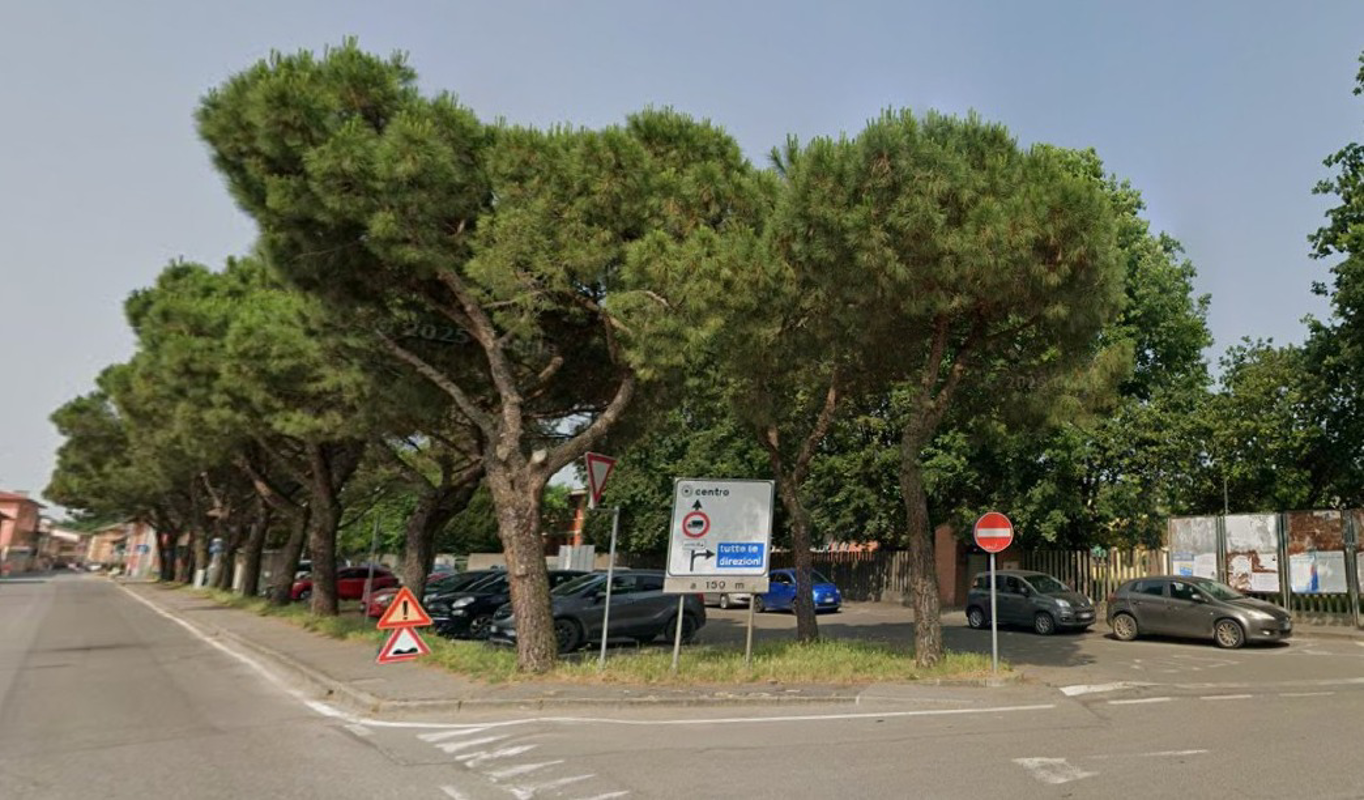 Agnadello - Non abbattete quei pini