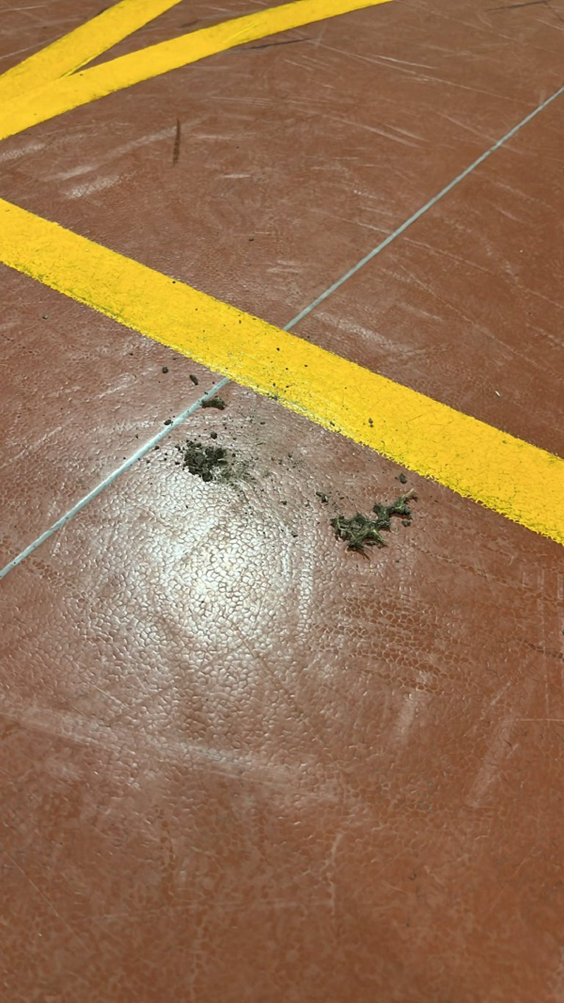 Cremosano - Se la palestra è sporca...