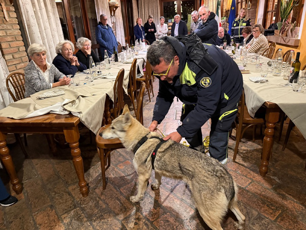 Quintano - Una serata da cani