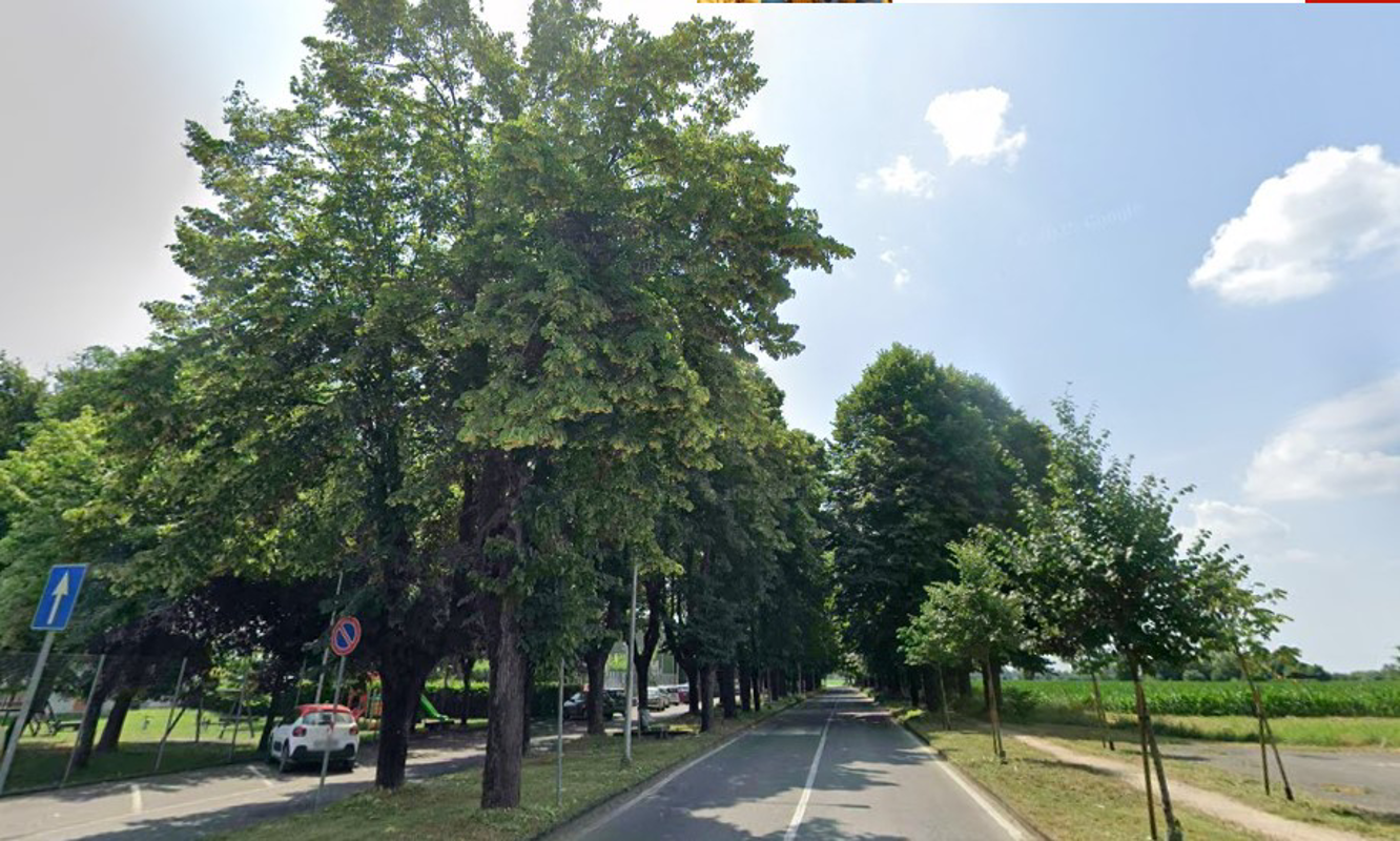 Vailate - Check up per i tigli di via Roma