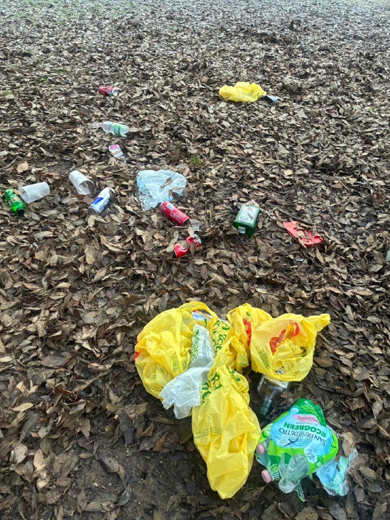 Crema - Se questo è un parco...