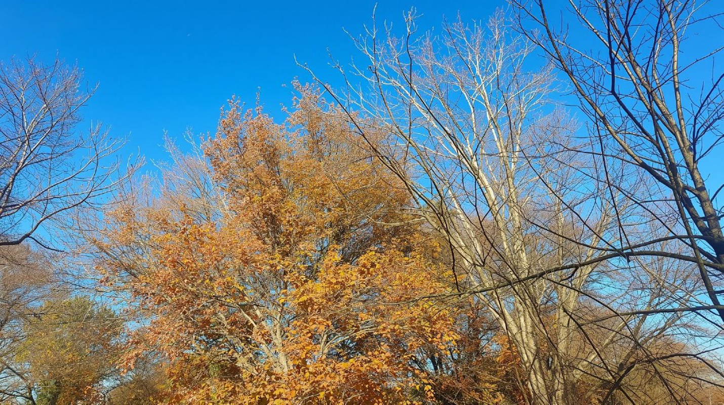 Ancora una bella giornata