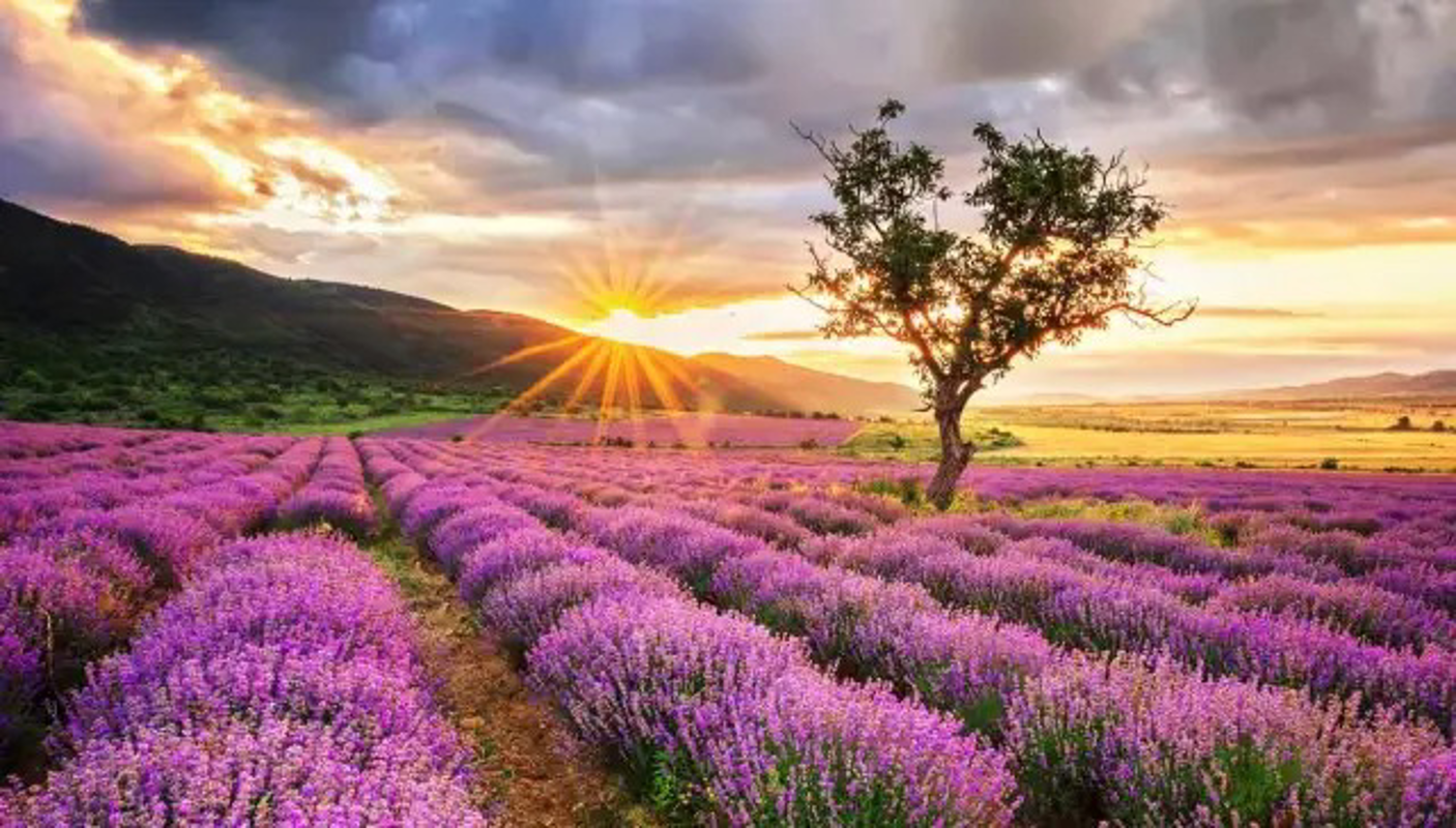 Dal territorio - La Provenza? E' qui