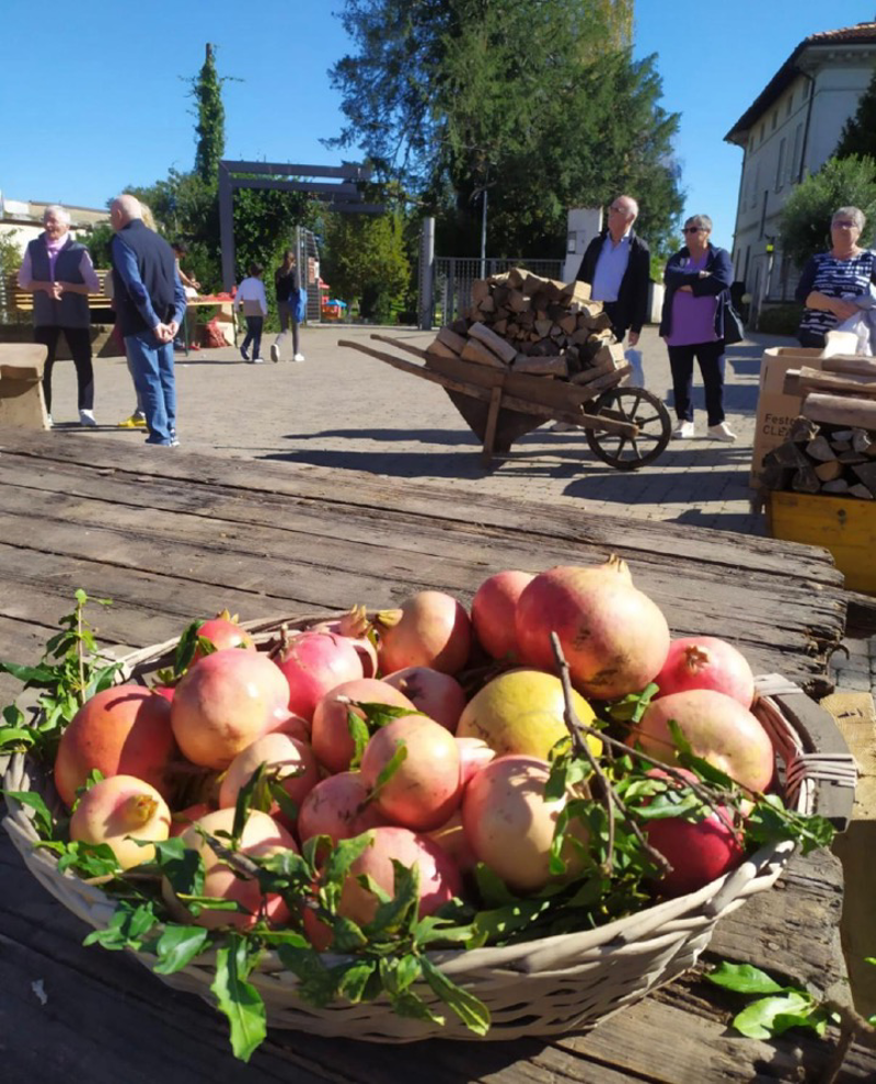 Sergnano - Arriva San Martino