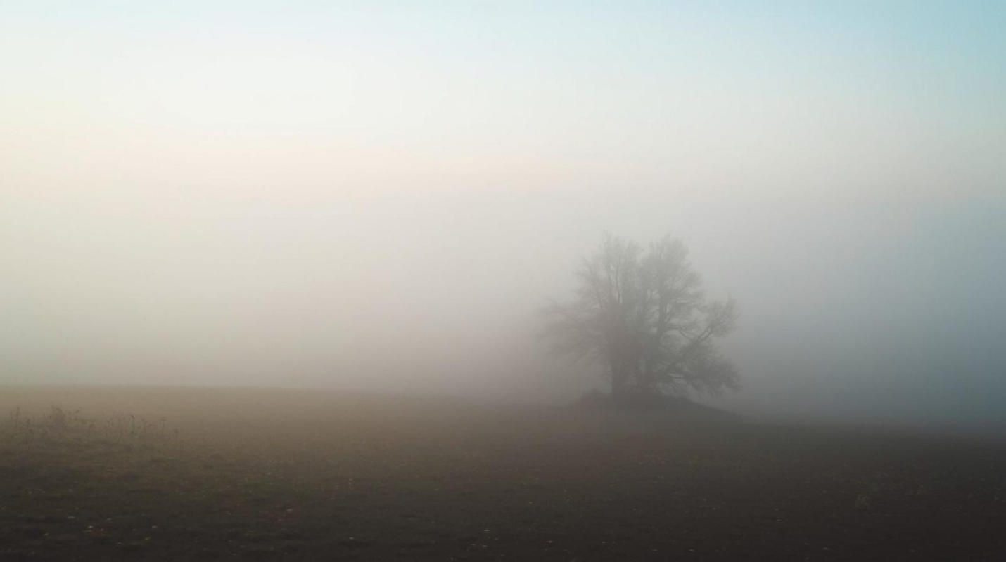 Risveglio con la nebbia