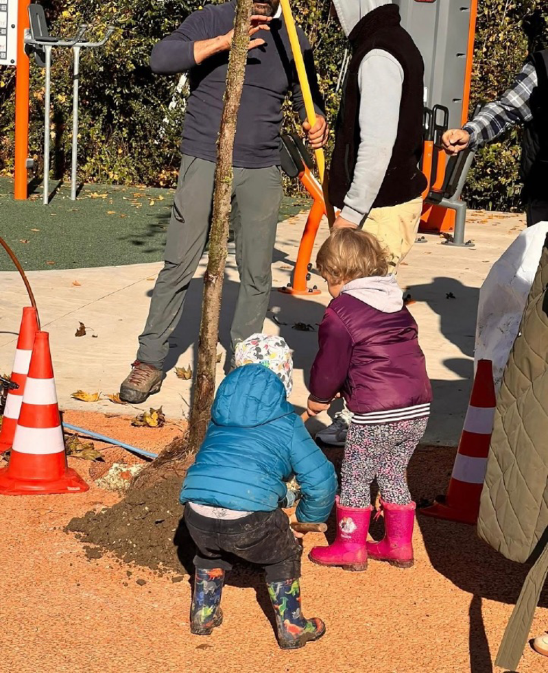 Capergnanica - Un albero, una vita