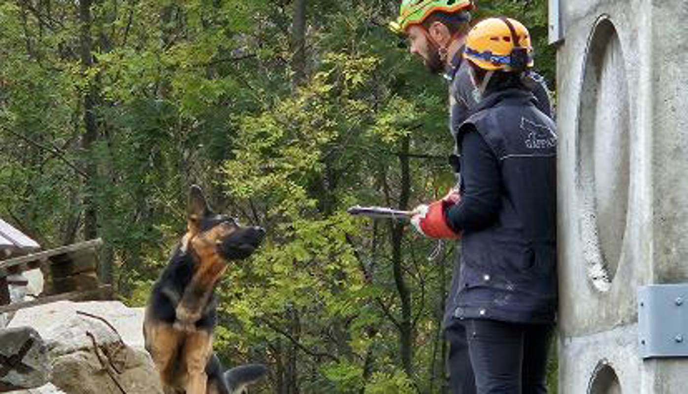 Dal territorio - Operazione dei carabinieri