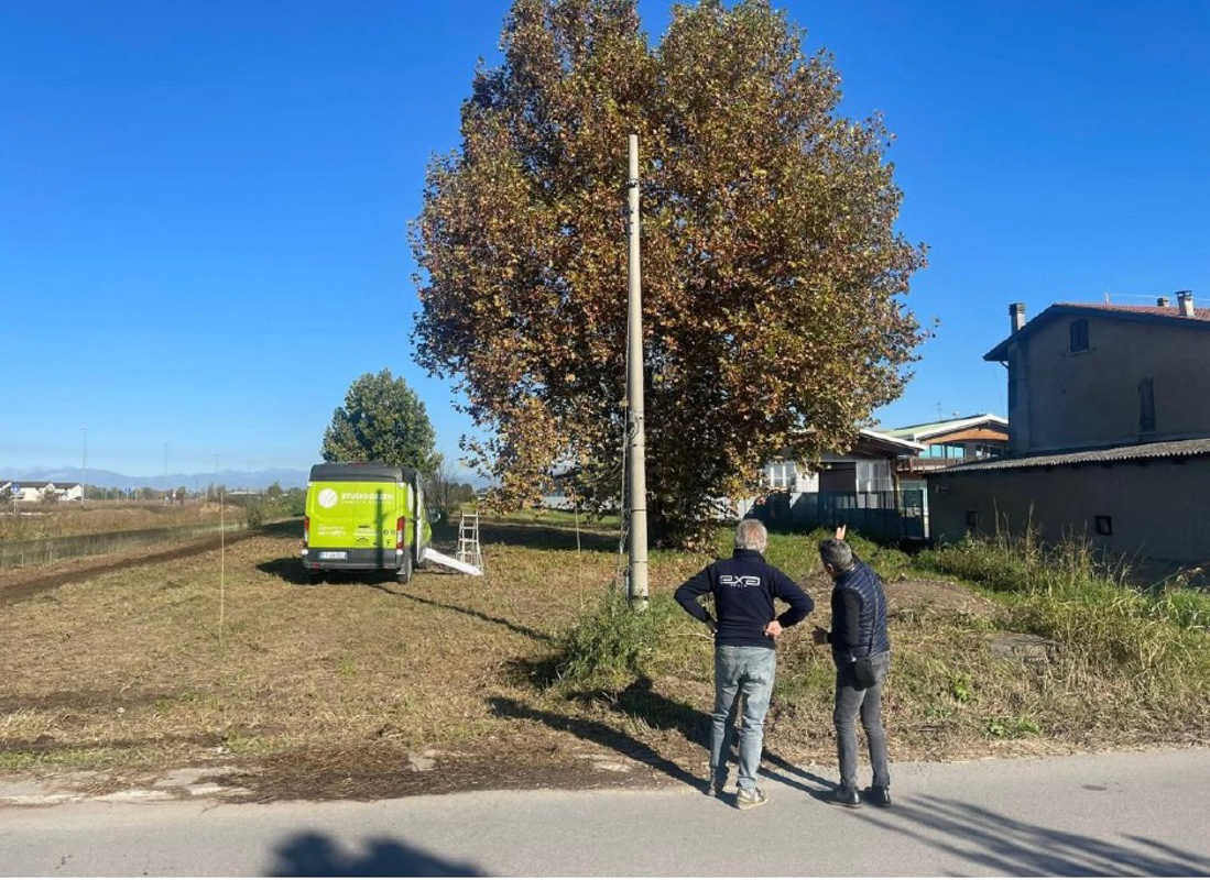 Castel Gabbiano - Nuove piante