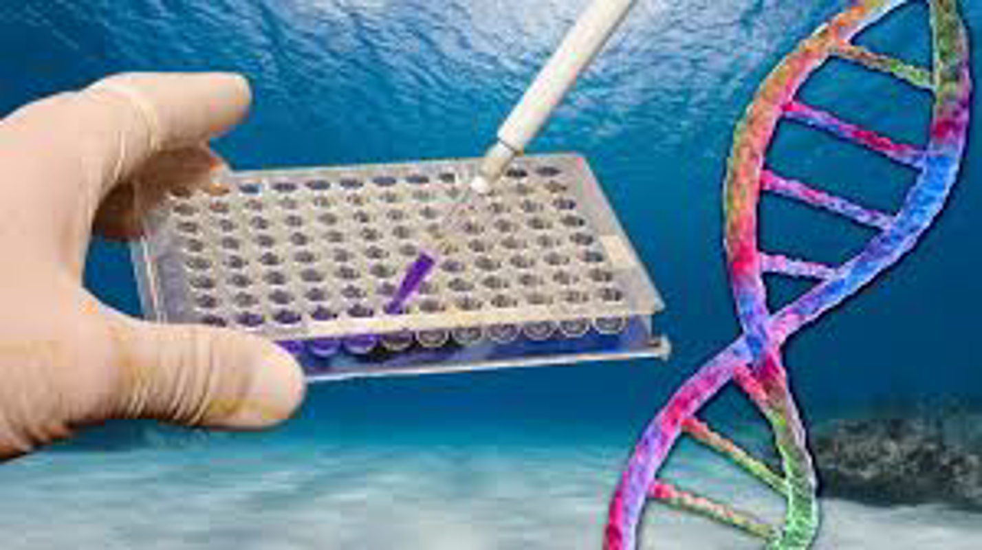 Offanengo - Ladro incastrato dopo otto anni