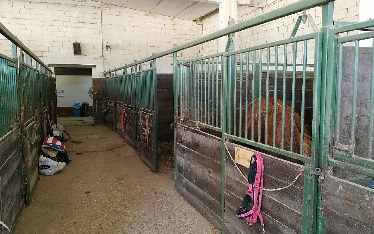 Spino d'Adda - Rovinosa caduta