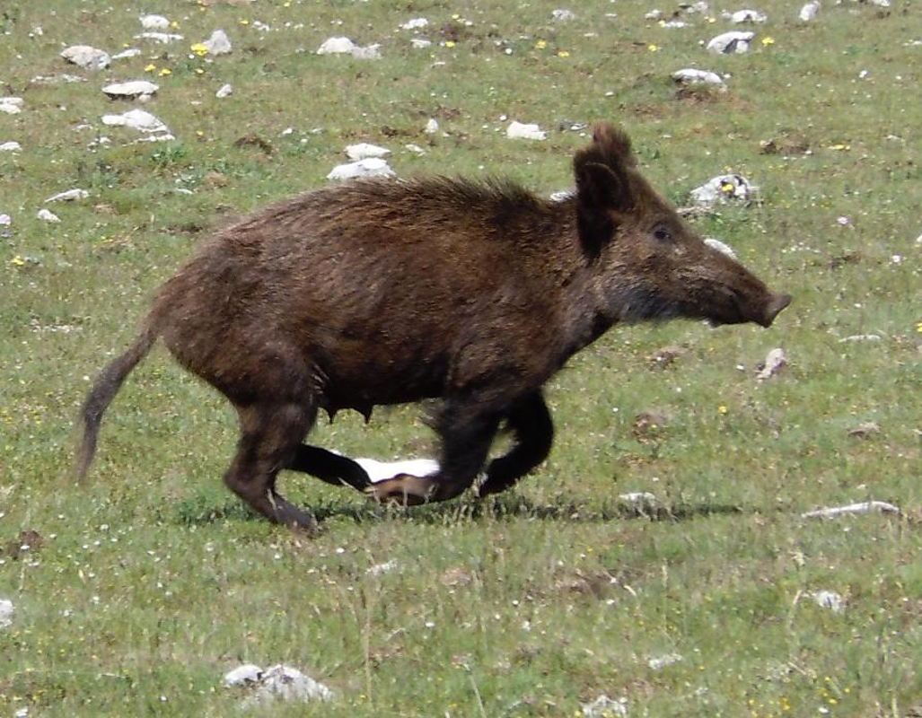 Crema - Rimborsi per 67 aziende agricole