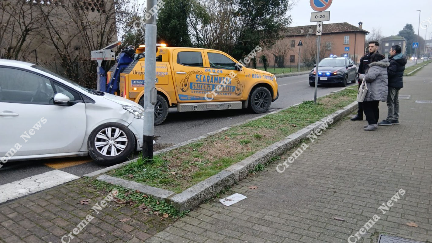 Pandino - Foglio rosa