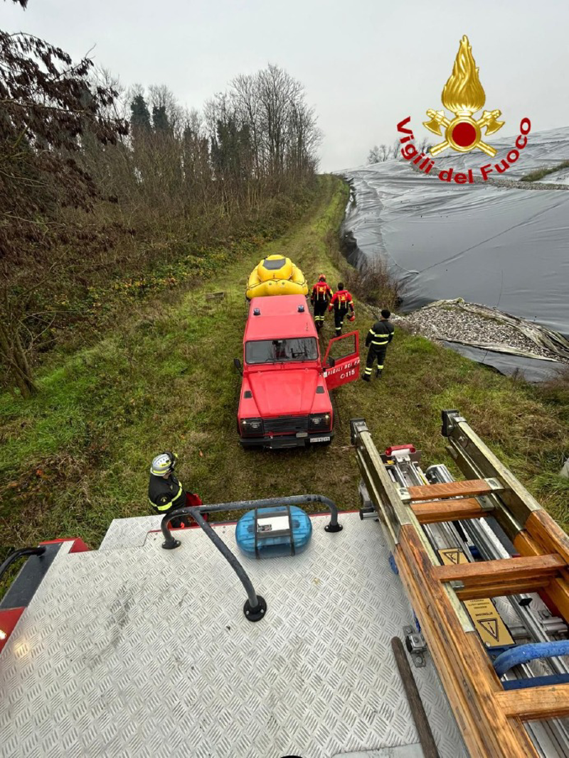 Dal territorio - Due cani intrappolati in una vasca, salvati