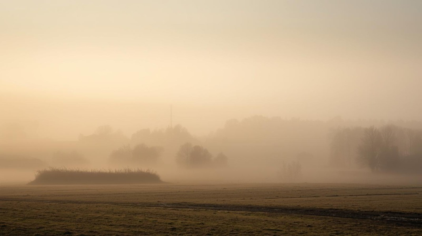 Mattinata di nebbia