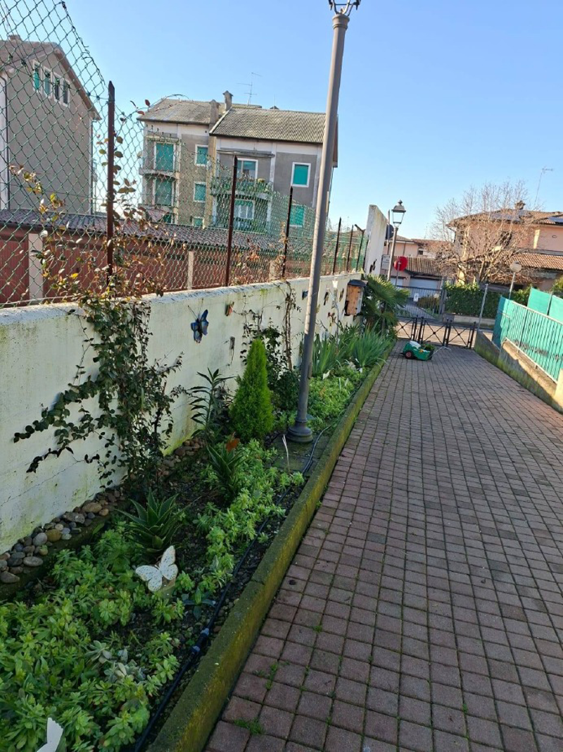 Rivolta d'Adda - Ripulito il Giardino delle farfalle 