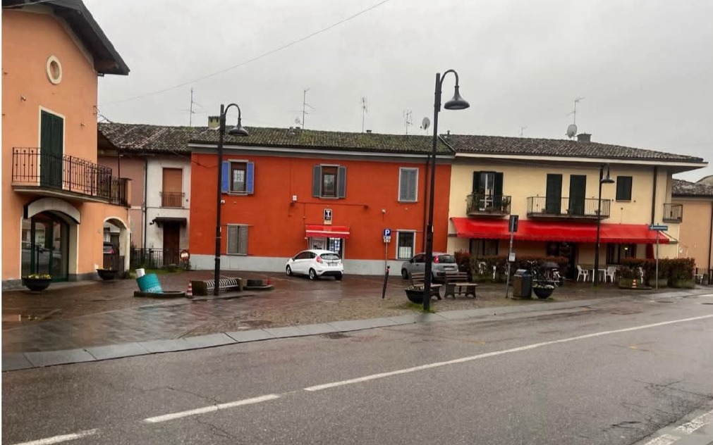 Crema News - Spino d'Adda - Alberi tagliati, polemica
