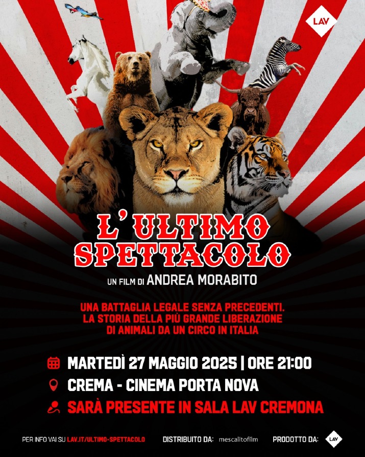 Crema News - Crema - Ultimo spettacolo