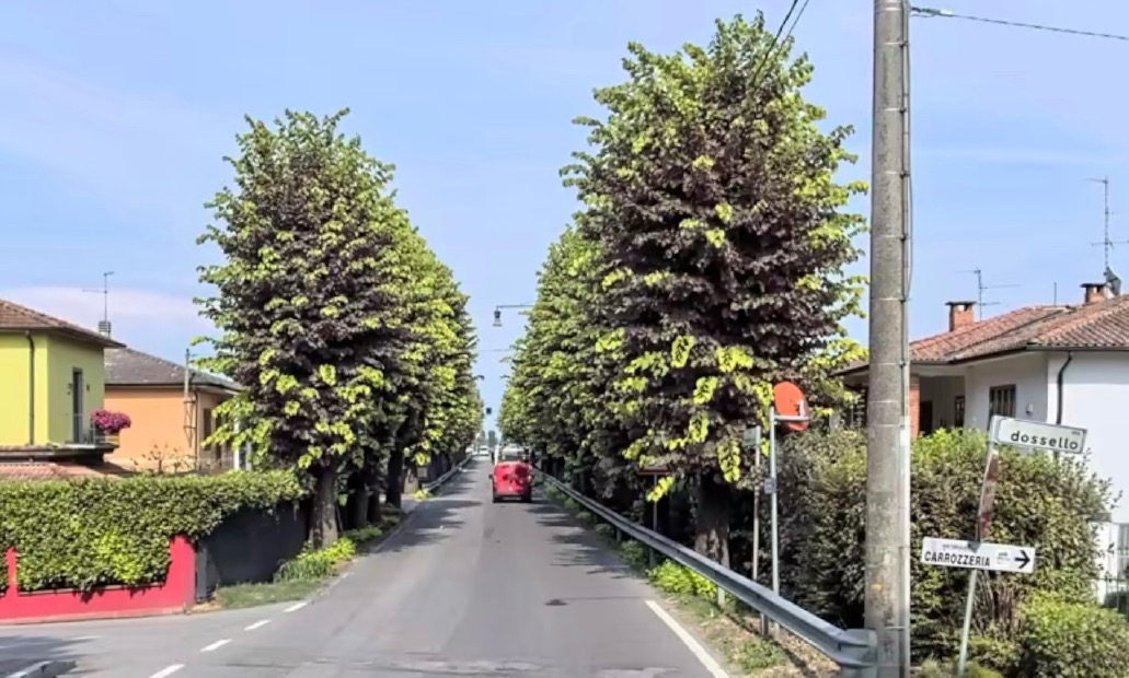 Crema News - Sergnano - Chiude viale Rimembranze