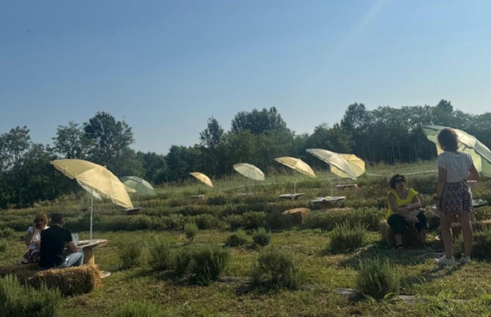 Crema News - Dal territorio - Colazione sull'erba