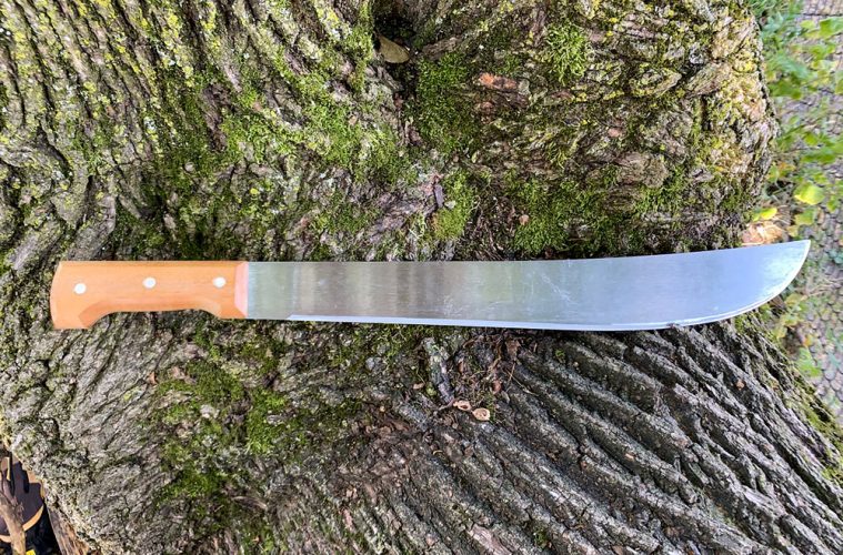 Crema News - Dal territorio - Ragazzo col machete