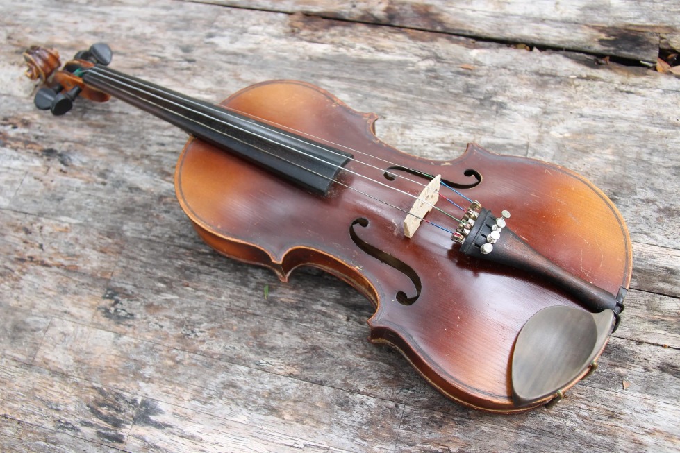 Crema News - Dal territorio - Una legge per il violino