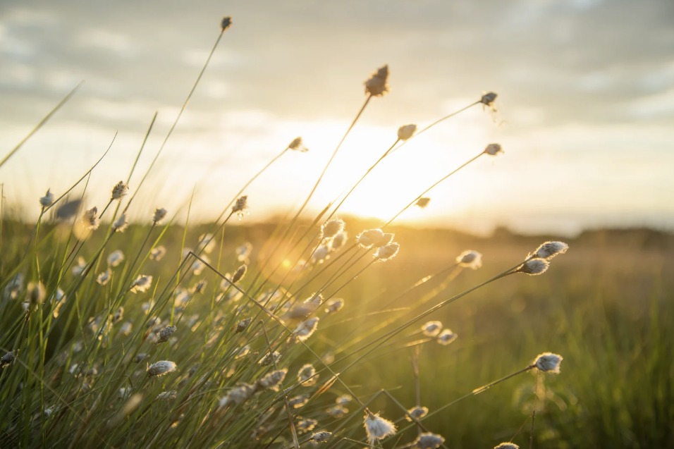 Crema News - Il sole risplende