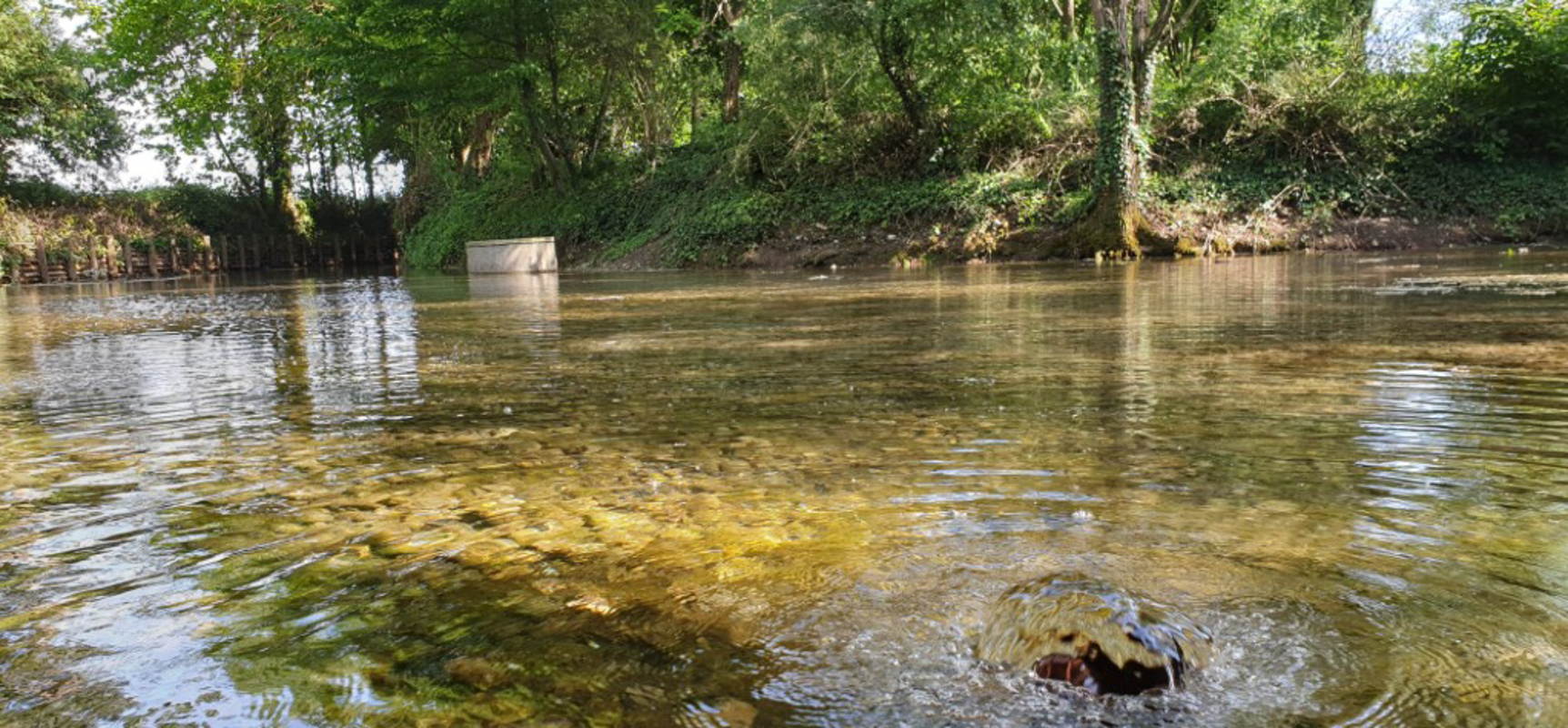 Crema News - Crema - Facciamo il parco dei fontanili