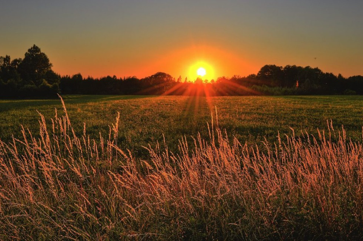 Crema News - Splende il sole
