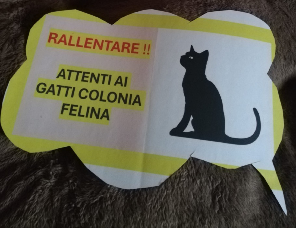 Crema News - Castelleone - Ancora una volta