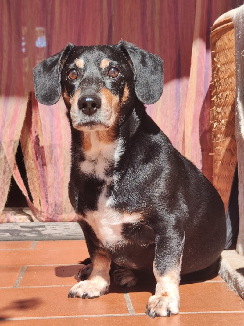 Crema News - Auguri Xotto