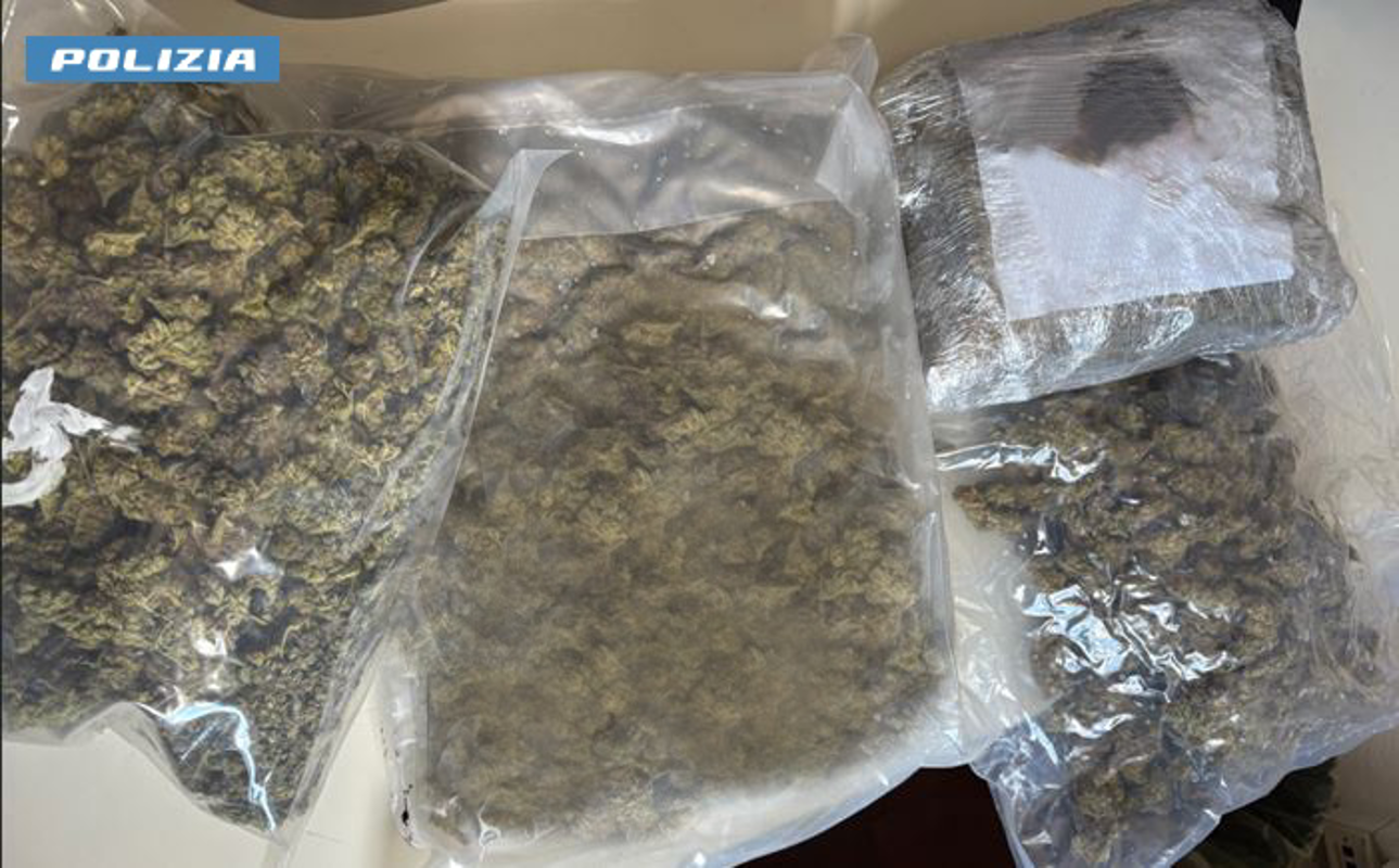 Crema News - Dal territorio - Tre chili di cannabis