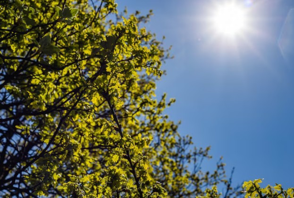 Crema News - Giornata stabile