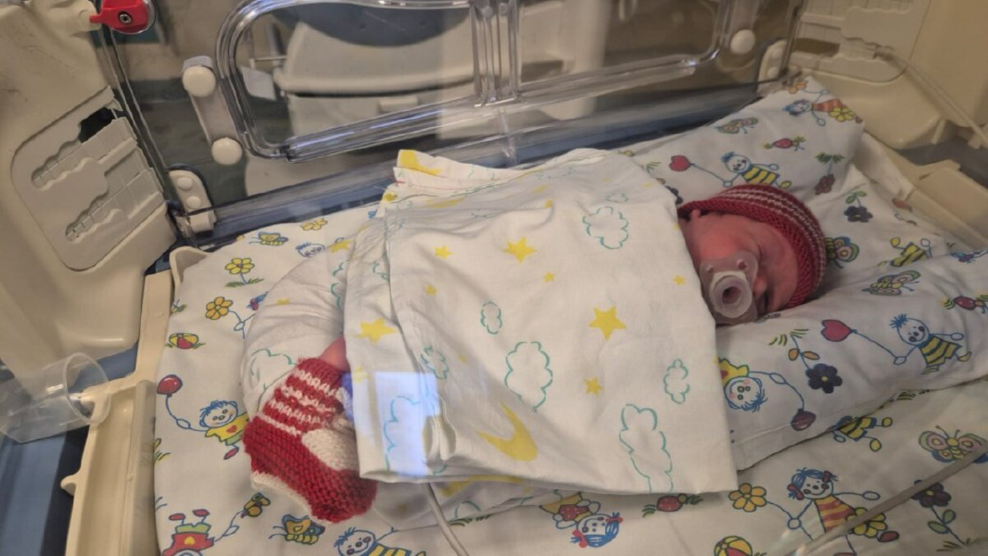 Dal territorio - Adesso c'è Cremona