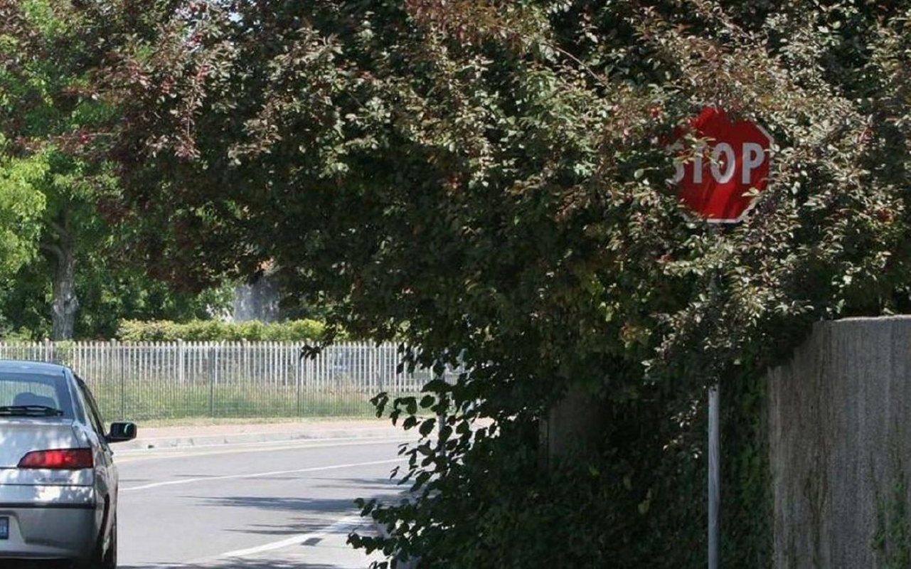 Pandino - Non tagli la siepe? Ti multo