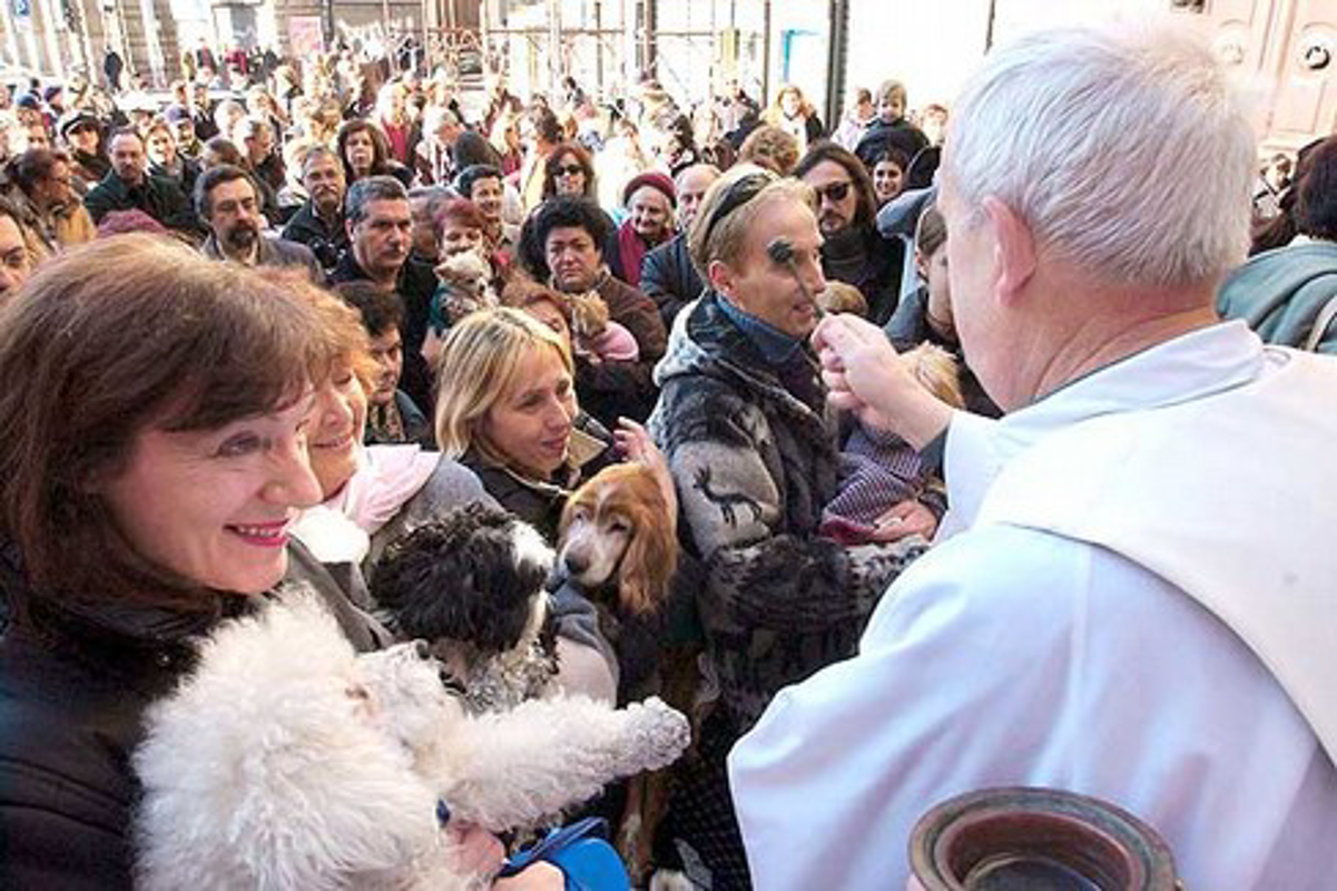 Agnadello - Animali da benedire 