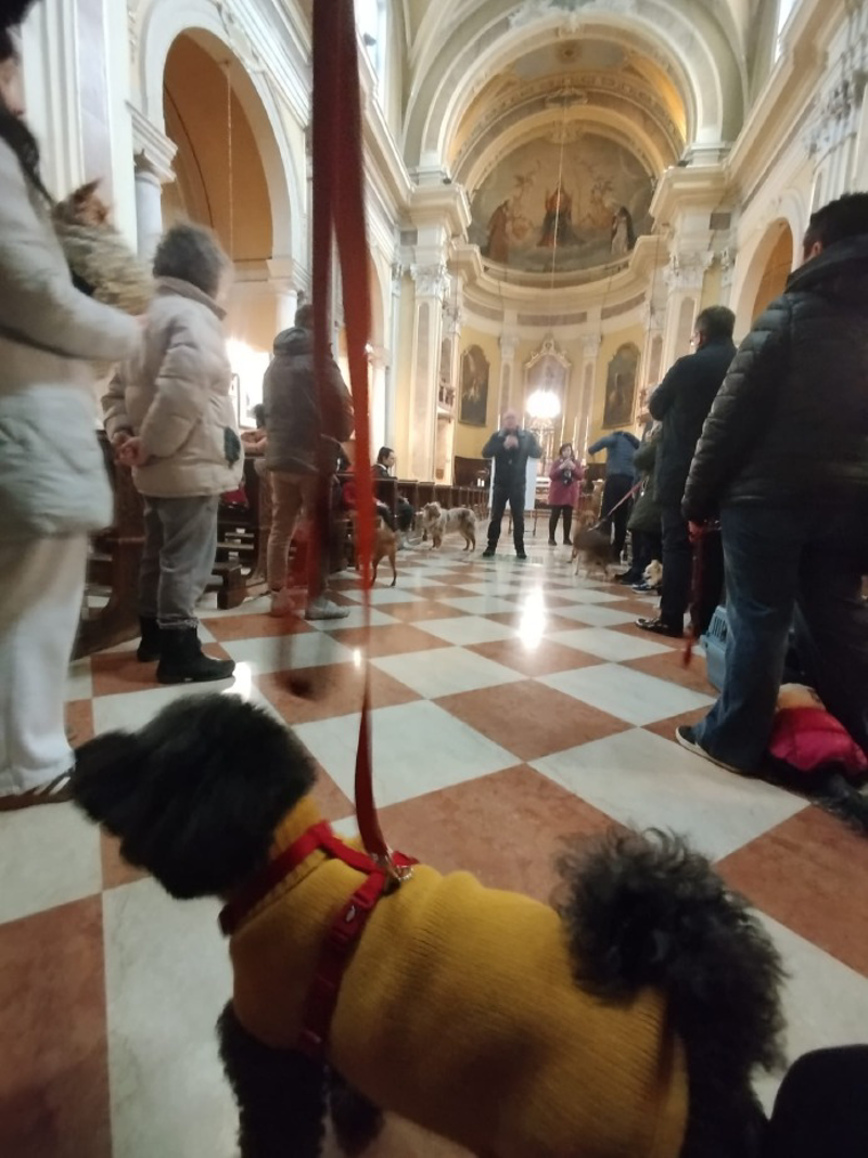 Agnadello - Benedette le stalle e gli animali 