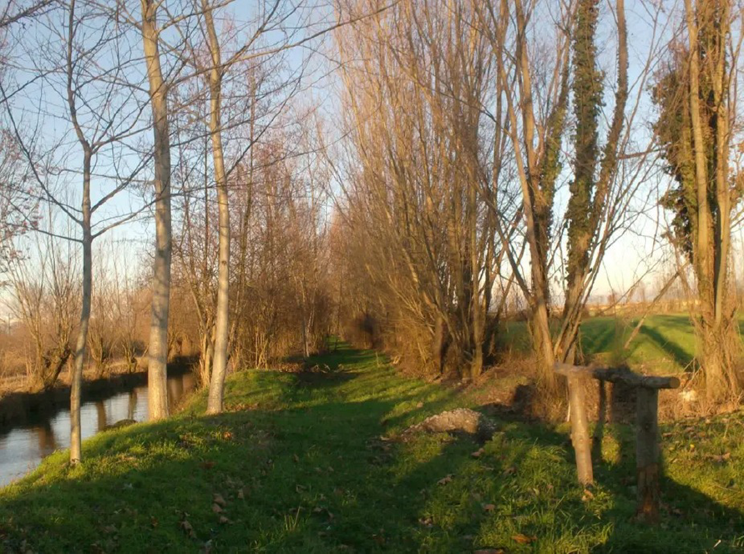 Capralba - La città per il verde, premio a Capralba