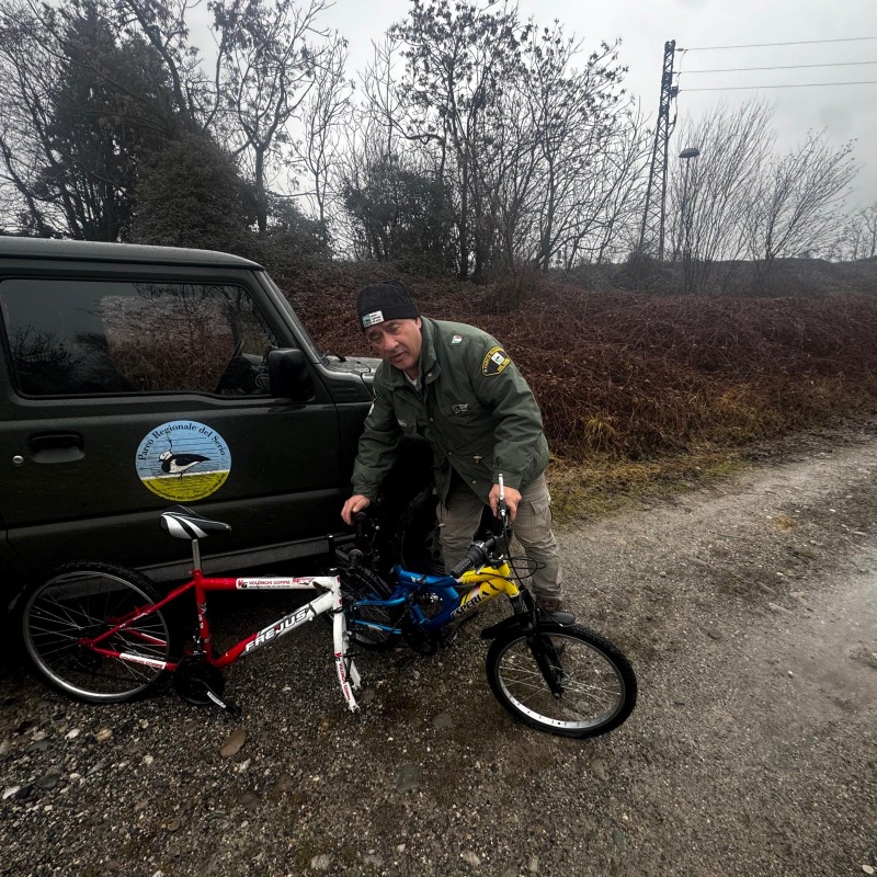 Crema  - Di chi sono?