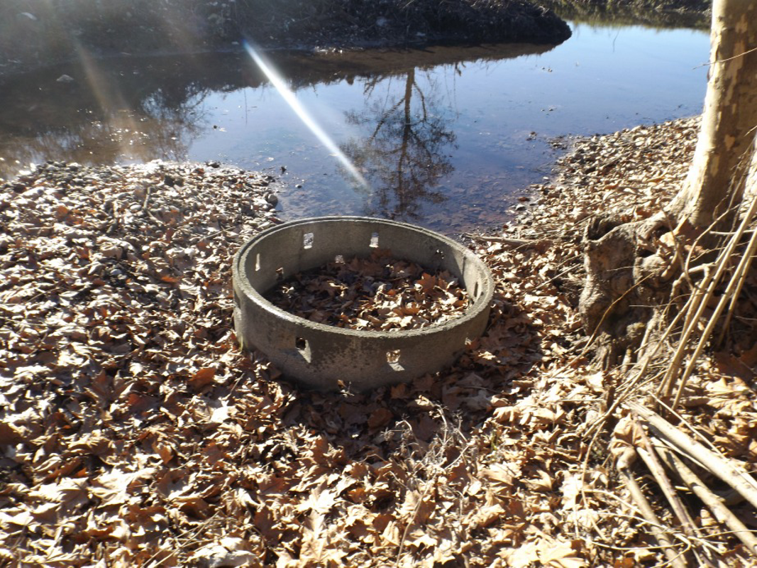 Agnadello - Fontanile in secca