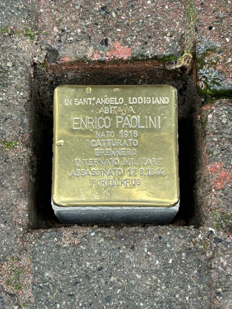 Dal territorio - Memoria di pietra