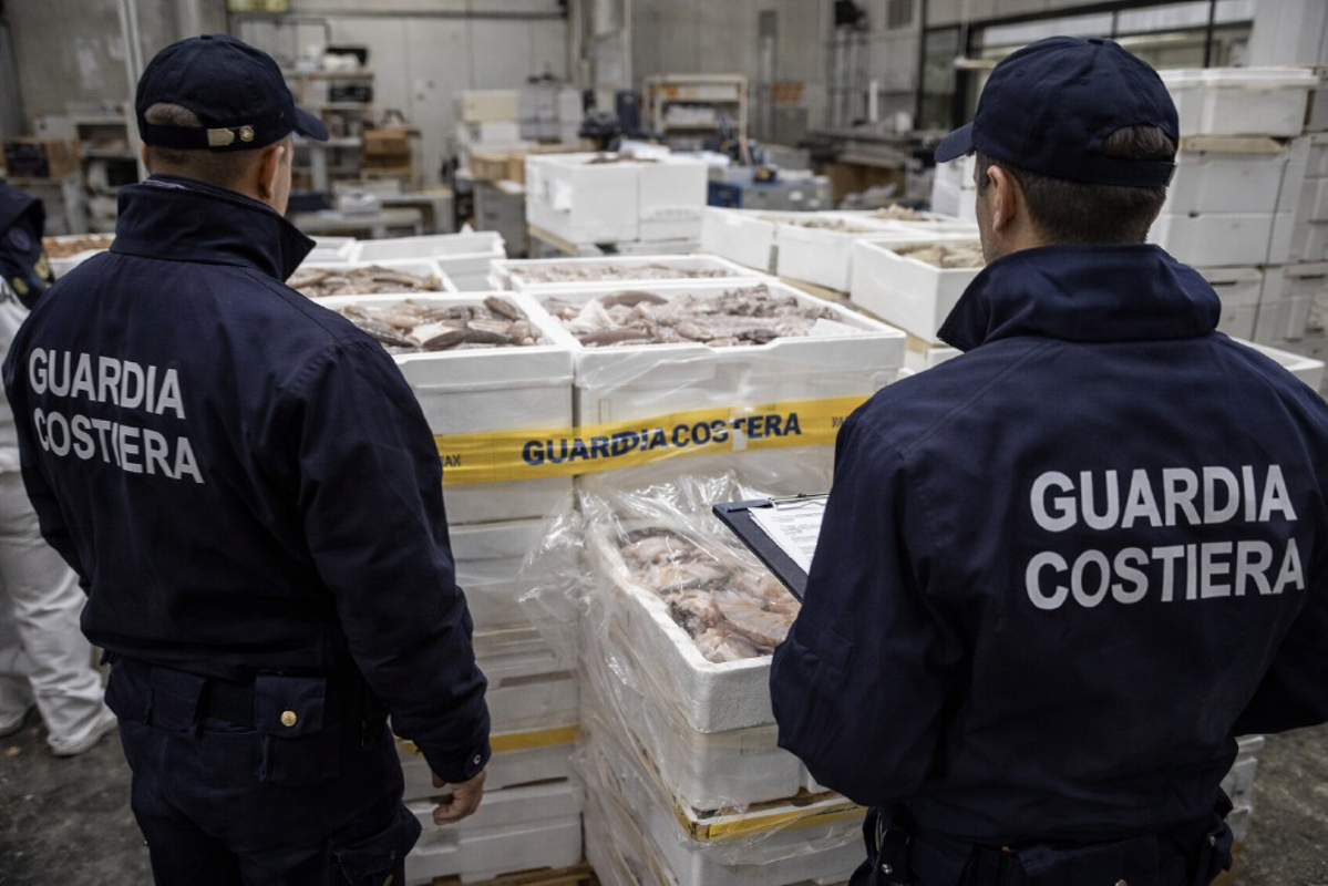 Dal territorio - Sequestrate sei tonnellate di pesce