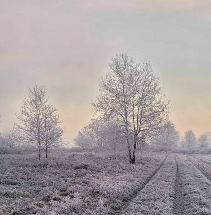 Dal grigio al sereno