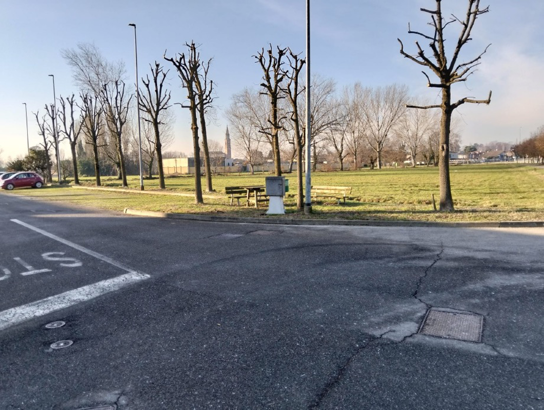 Vaiano - Come ti taglio le piante