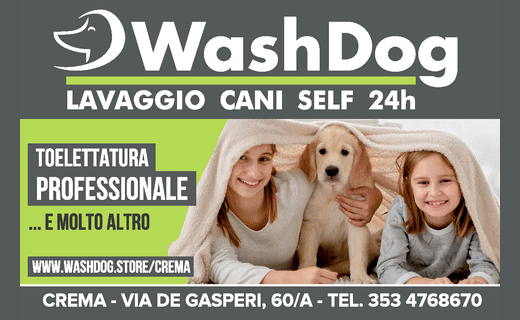 Washdog