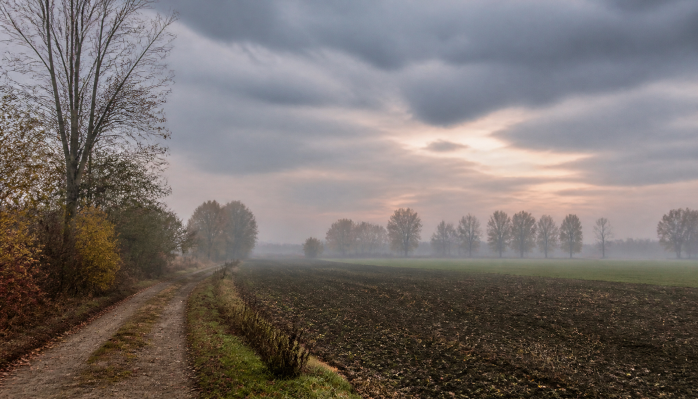 Nebbia in mattinata